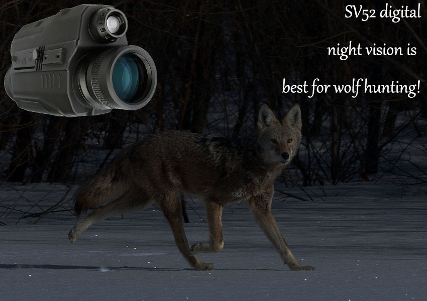 How to use SV52 HD 5x32mm Digital Night Vision Monocular？
